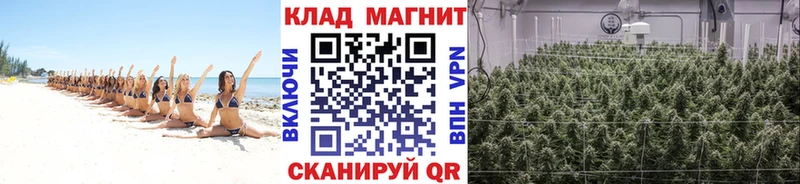 Где продают наркотики Анжеро-Судженск Галлюциногенные грибы  A PVP  ГАШ  Кокаин  Канабис 