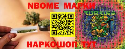 крисы Брянск