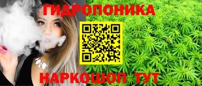 крисы Брянск