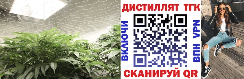 это состав  Анжеро-Судженск  Дистиллят ТГК гашишное масло 