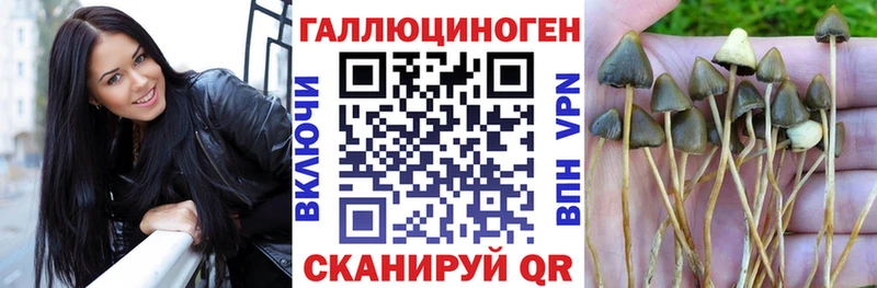 Псилоцибиновые грибы ЛСД Анжеро-Судженск