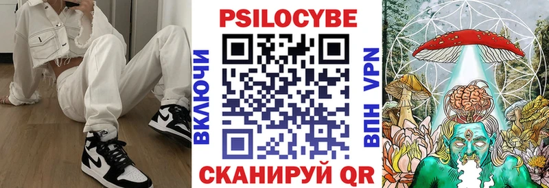 мега ONION  Анжеро-Судженск  Галлюциногенные грибы Psilocybe  купить  сайты 